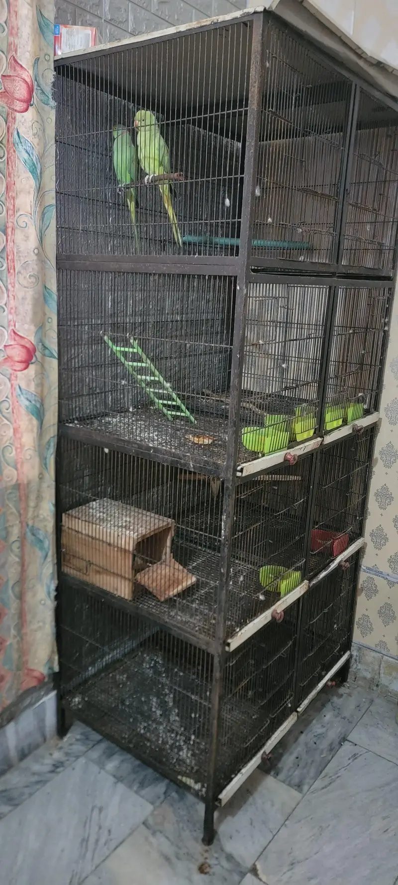 cage 8 portion sale — photo 2