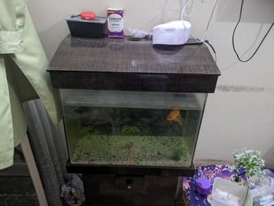 AQUARIUM FULL SETUP + FISH
