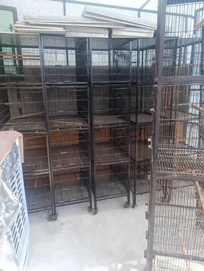 Birds Cages In Best condition