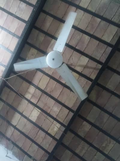 fan for sale