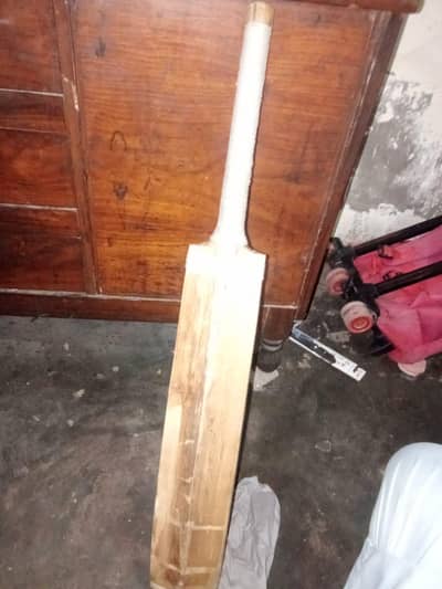 English willow bat SF brand power hitting is best
