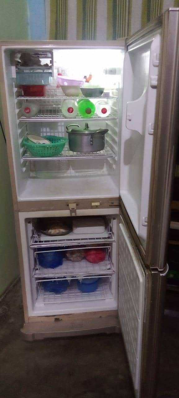 waves fridge 1