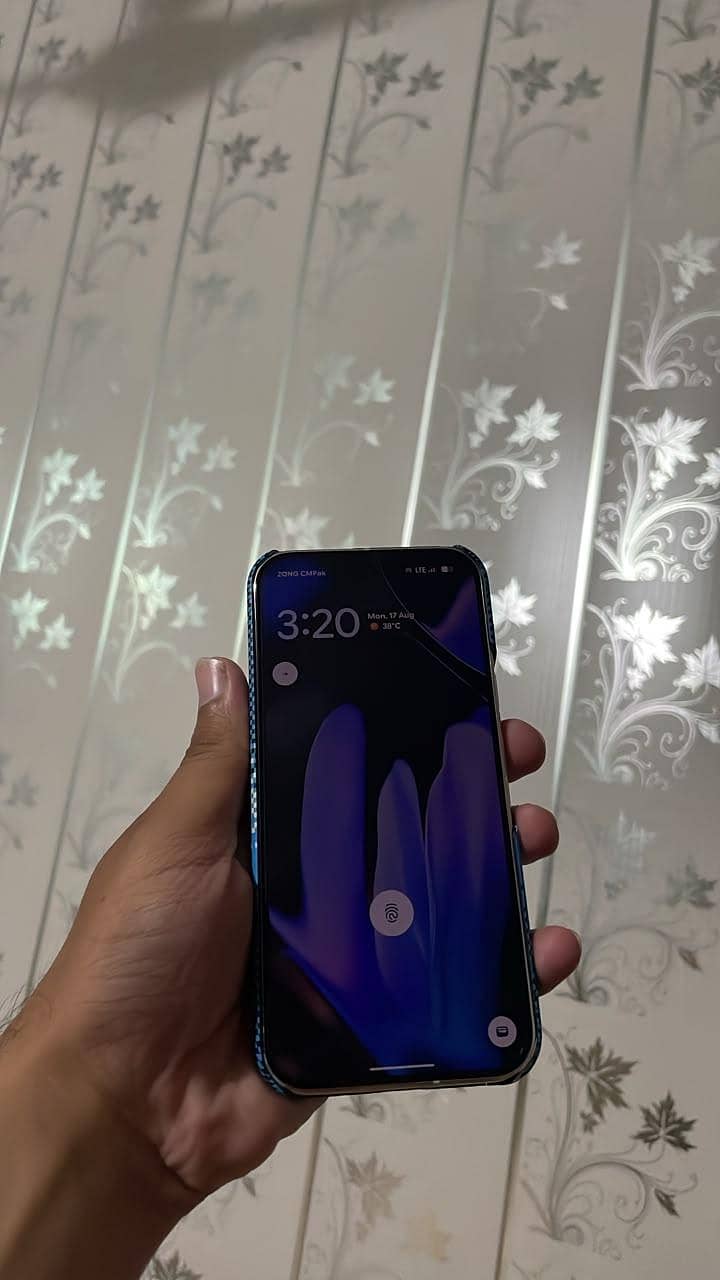 Google Pixel 9 Pro 1