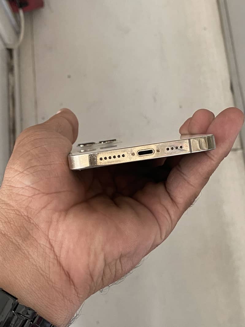 Apple iPhone 13 Pro Max 1