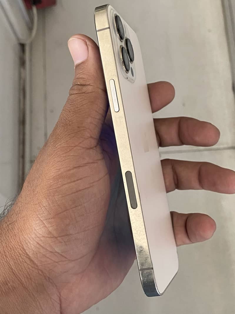Apple iPhone 13 Pro Max 3