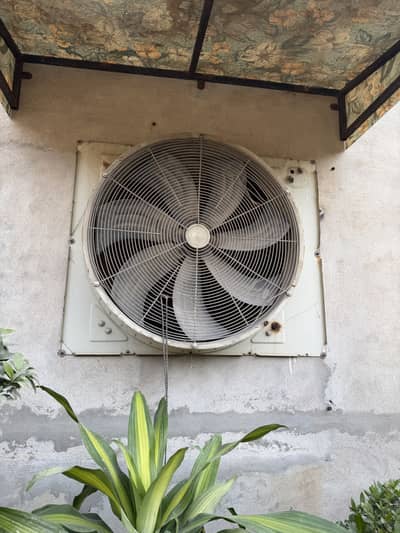 Exhaust Faan 3 phase Motor