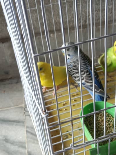 For sale