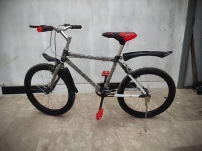Brand New Custom 20" Cycle