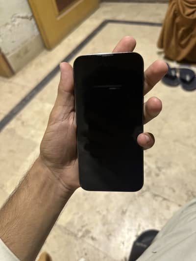 Iphone 13 pro jv
