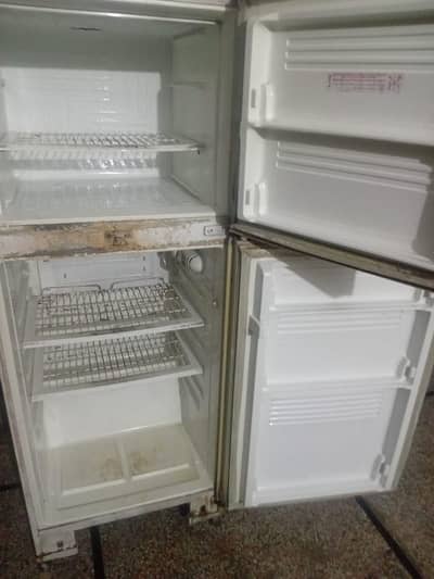 it's pel medium size fridge form sale