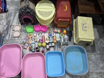 All cat accessories.