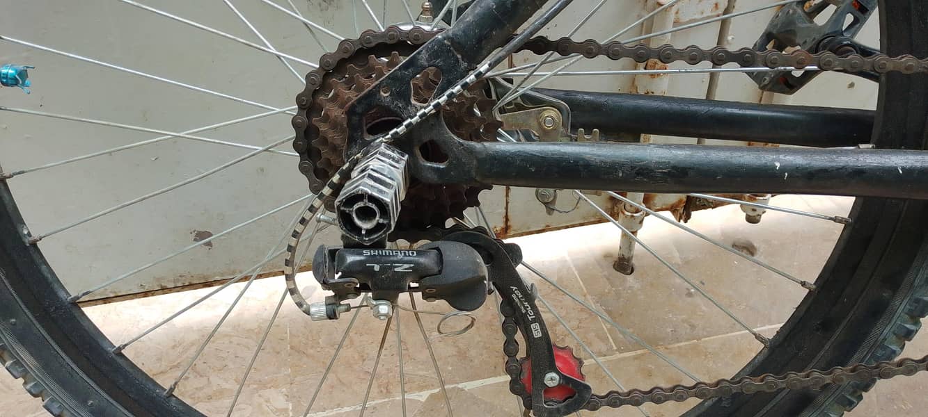 CYCLE 4