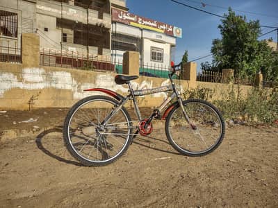 Phoenix Custom Build 26 inch size – Brand New Cycle