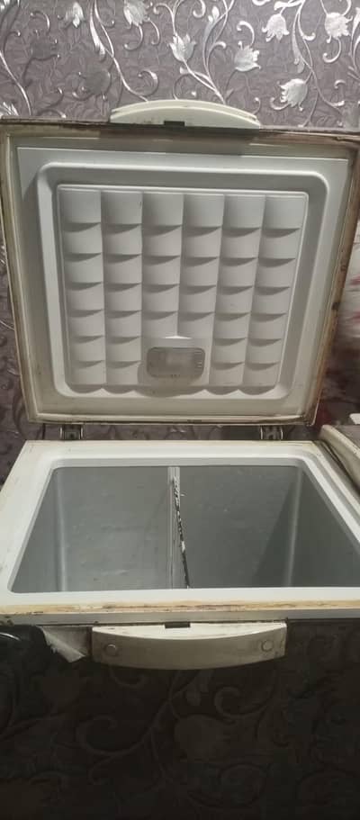 double dooe freezer