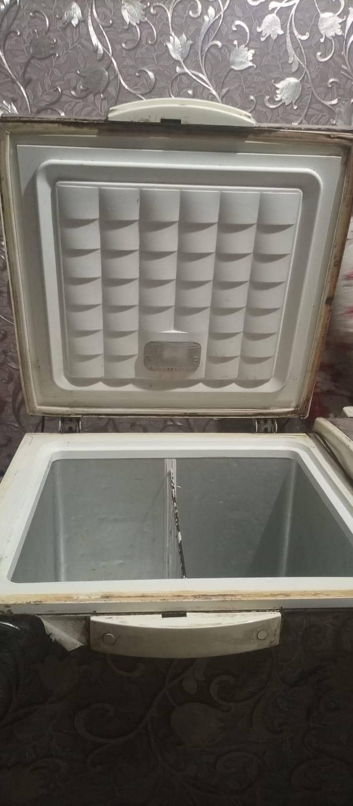 double dooe freezer 0