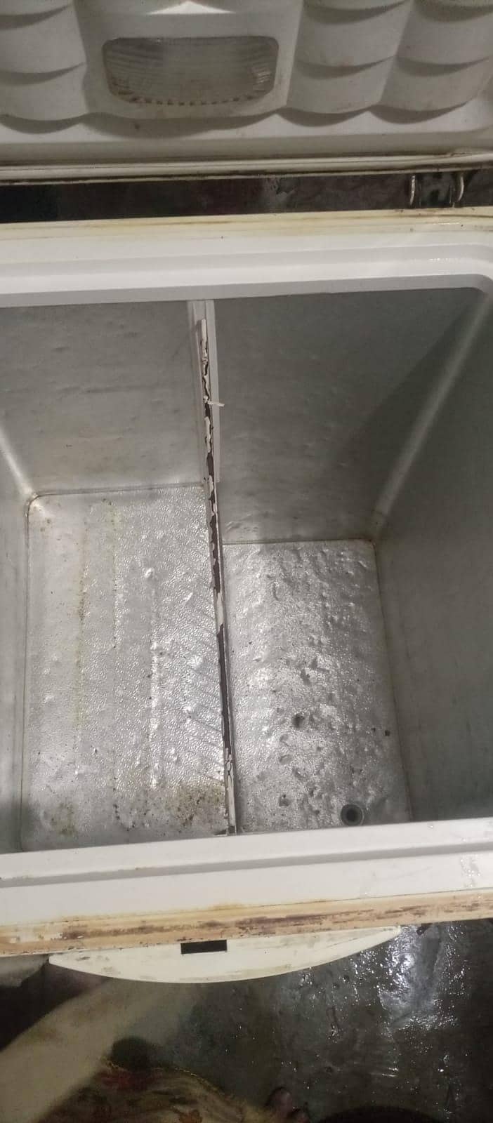 double dooe freezer 1
