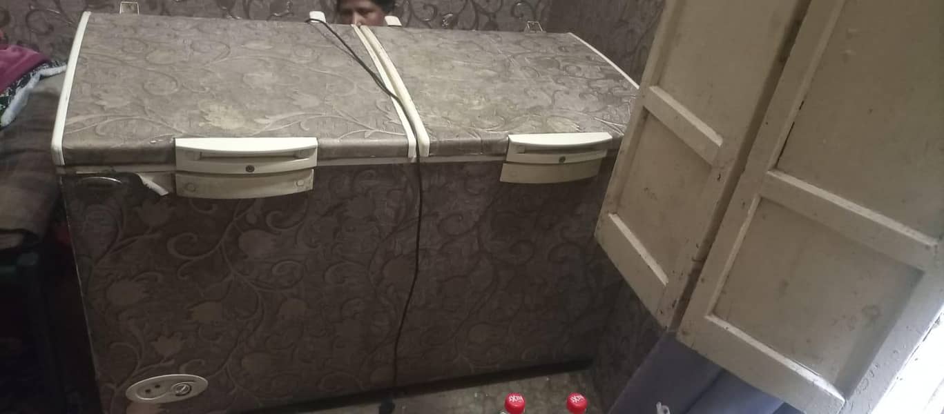 double dooe freezer 2