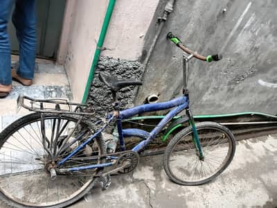 willing bicycle