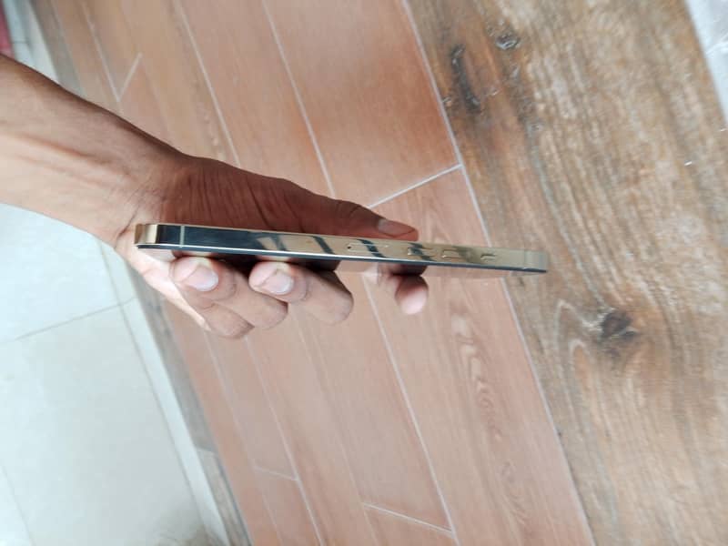 Apple iPhone 13 Pro Max 1
