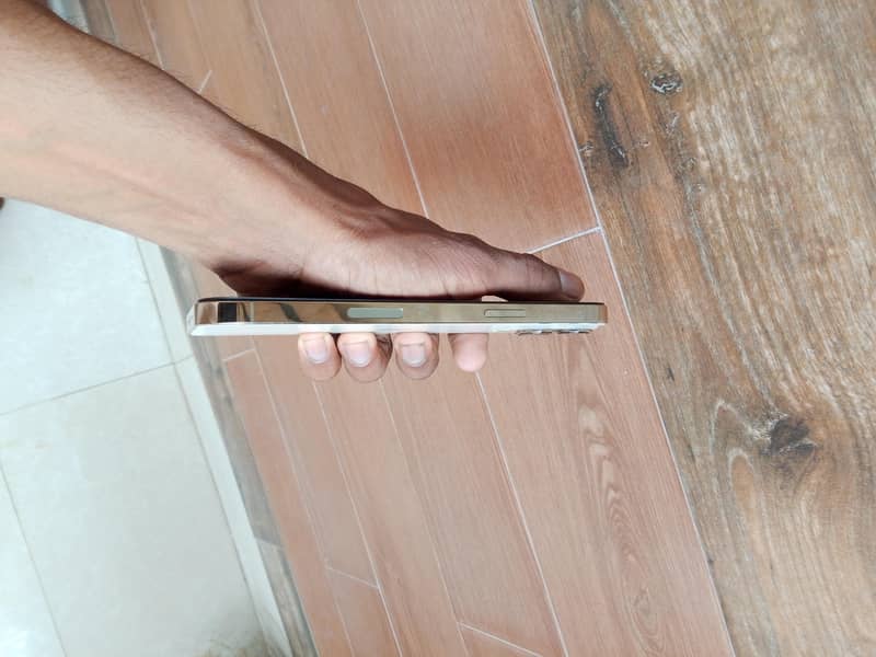 Apple iPhone 13 Pro Max 2