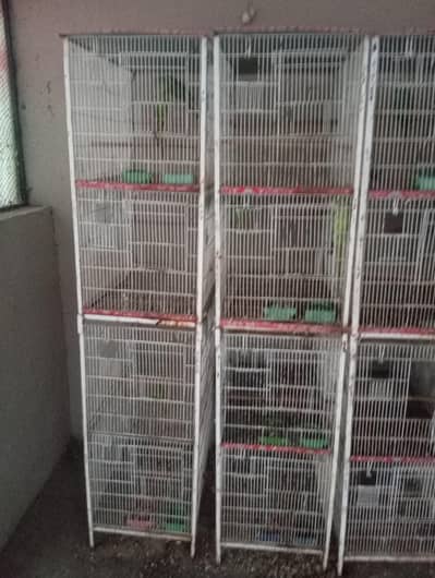 4 portions cage and Keekar Box