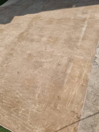 Large Used Carpet 12x12 ft | 2 Available