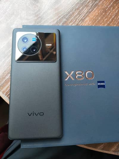 Vivo X80 12/256