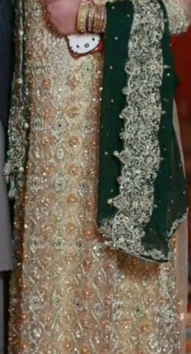 10/10 condition walima dress just aik bar shdi pe he use kia  hai
