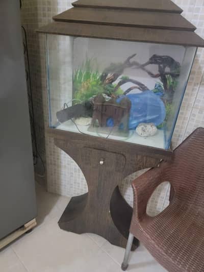 Well Maintained Fish Aquarium