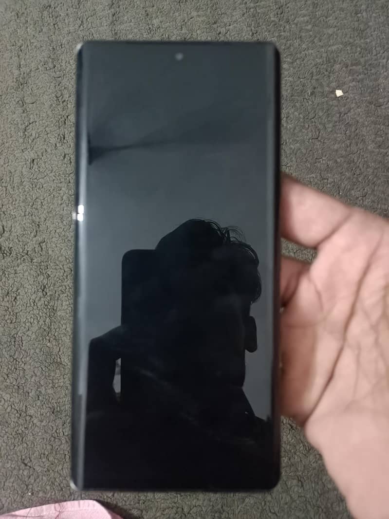 Google Pixel 6 Pro 1