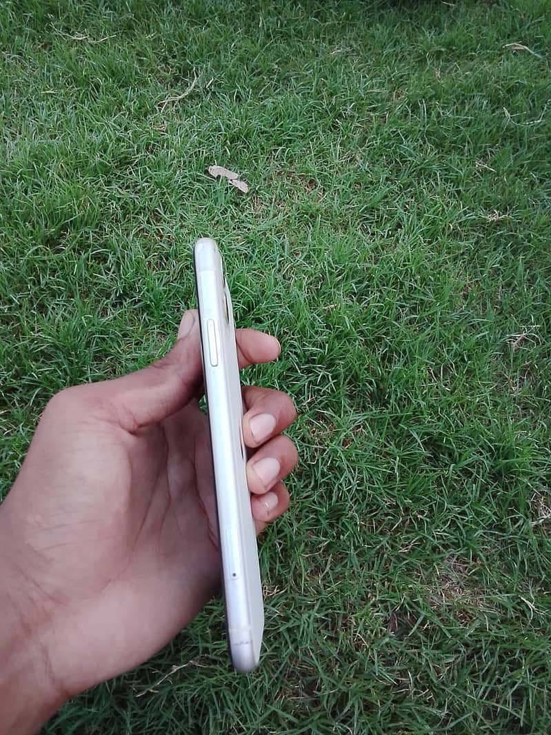 Apple iPhone 11 0