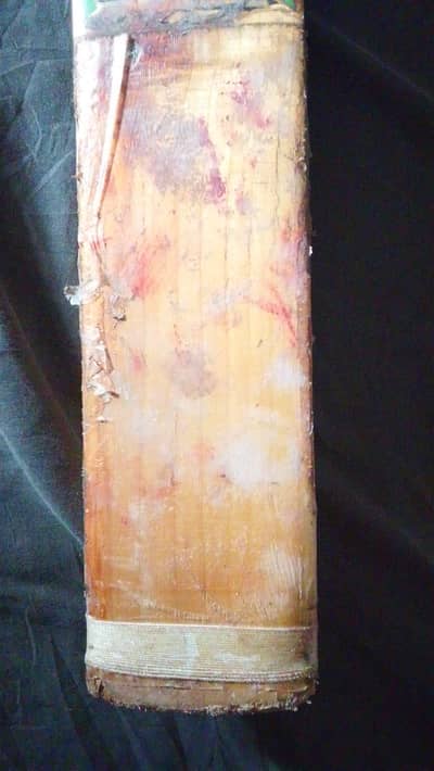 CA somo cricket bat for sale