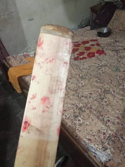 SF brand English willow bat power hitting is best