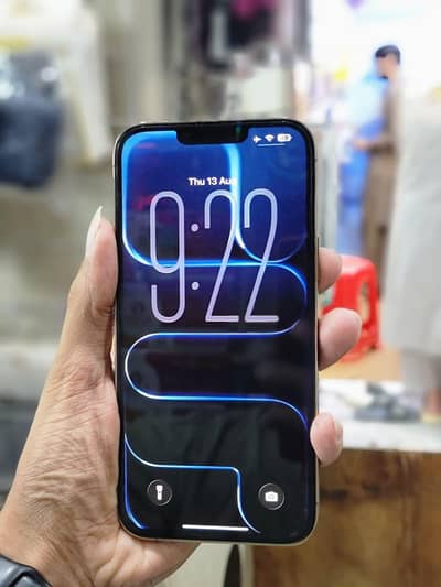 Apple iPhone 13 Pro Max