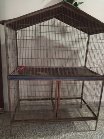 birds/hen cage
