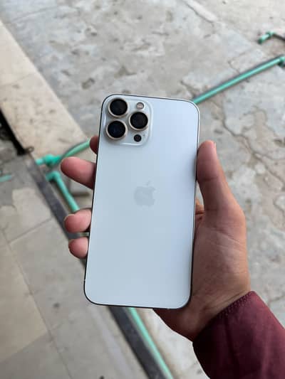 Apple iPhone 13 Pro Max