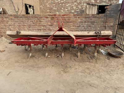 11 Phala