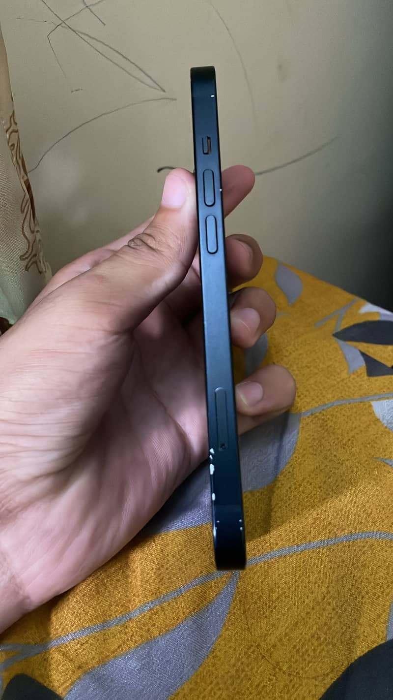Apple iPhone 13 0