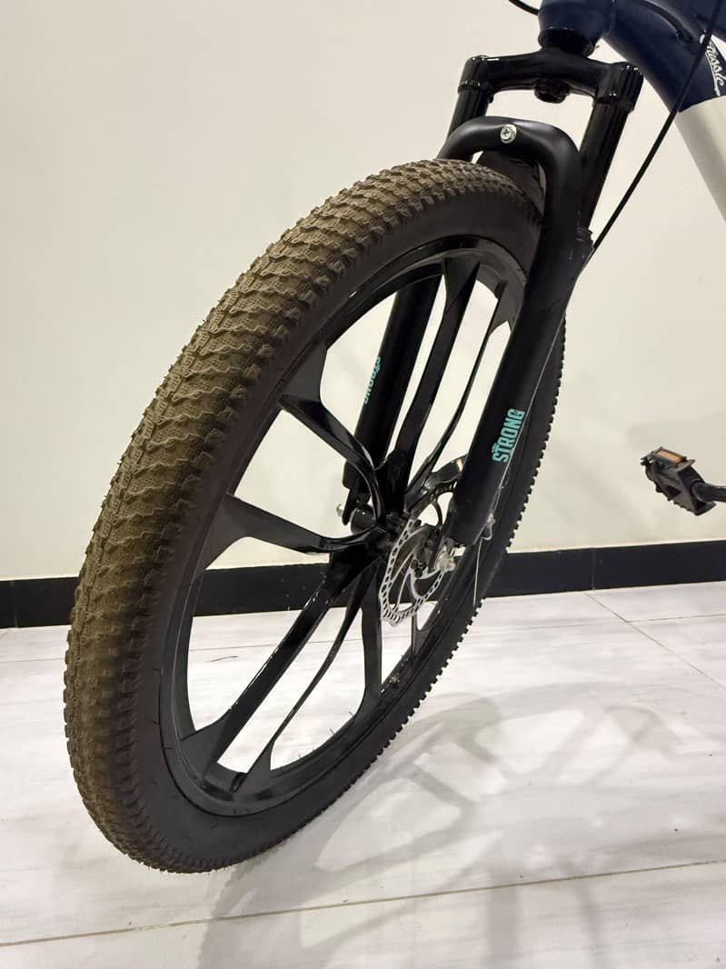 Mountain Cycle 4