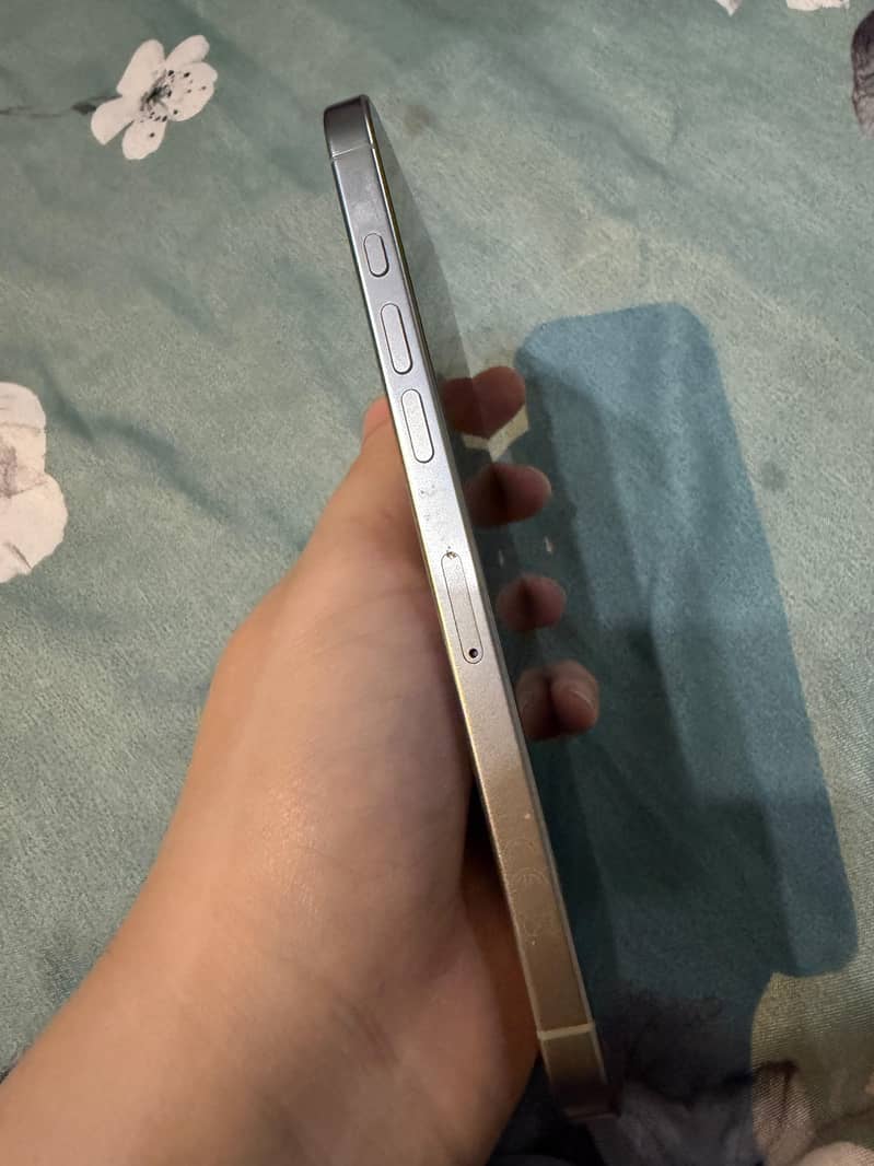 Apple iPhone 16 Pro Max 4
