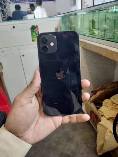 Apple iPhone 12