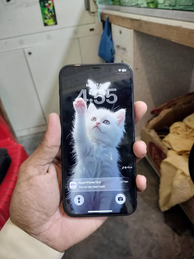 Apple iPhone 12 1
