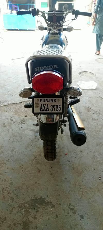 2025 model gold edition