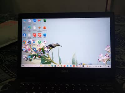 Dell Latitude 3390 2-in-1 | i5 6th Gen | 8GB RAM | 256GB SSD | Touch