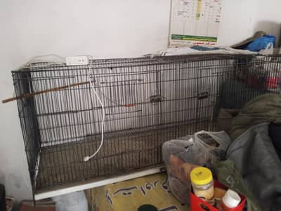 Iron Cage