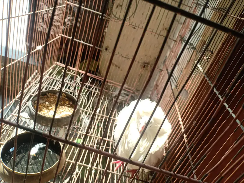 urgent selling — photo 3