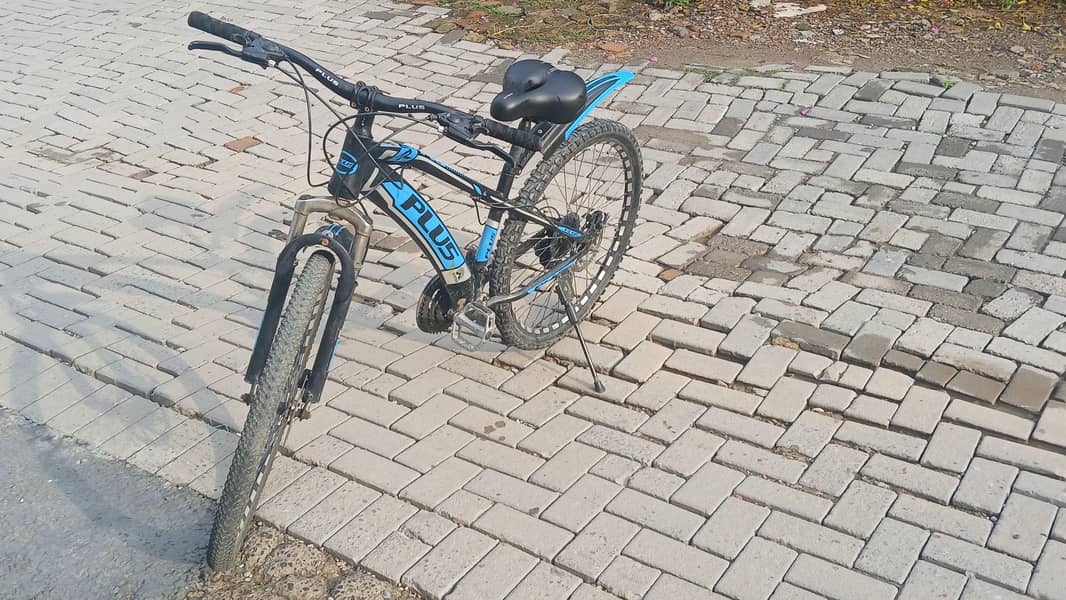 plus bicycle 1