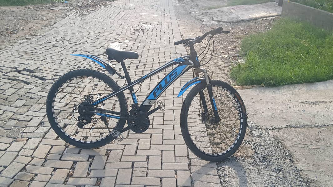 plus bicycle 2