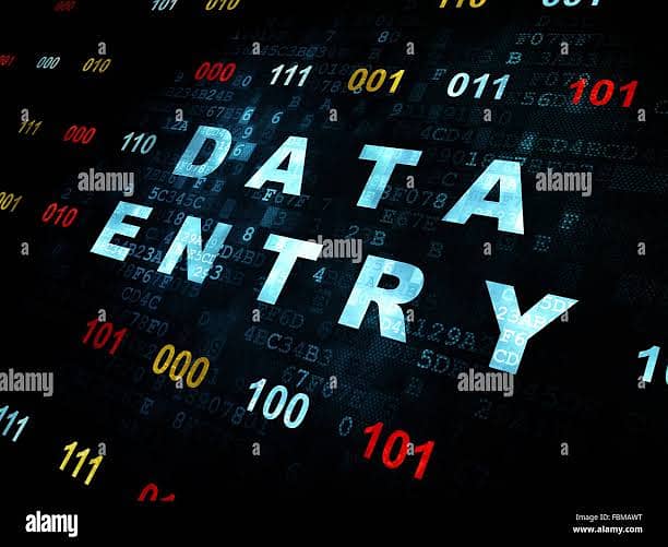 Professional Data Entry & MS Excel Services (Fast & Accurate) 2