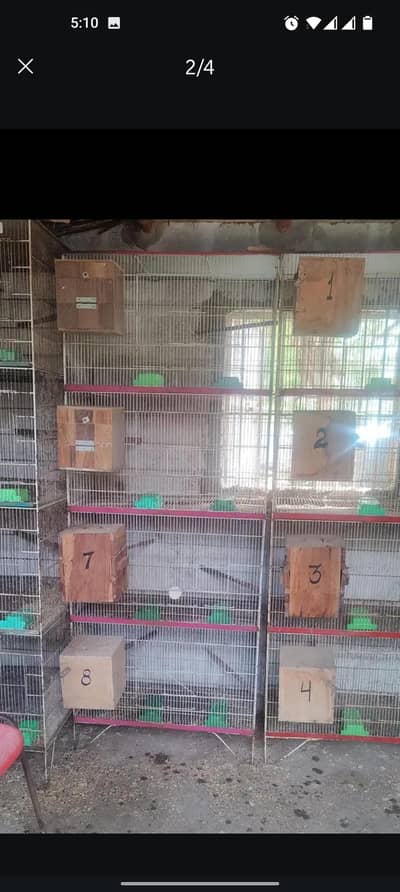 4 cages 4 portions